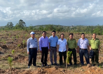 Trồng cây đầu năm tết Quý Mão 2023 tại đồi Yên Ngựa xã Tam Phú