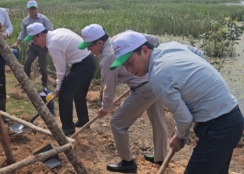 Các đồng chí lãnh đạo trồng cây tại khu vực Sông Đầm