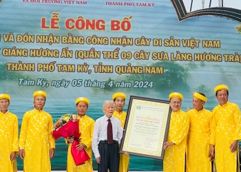 -	Đại diện người dân Hương Trà đón Bằng công nhận Cây Di sản Việt Nam